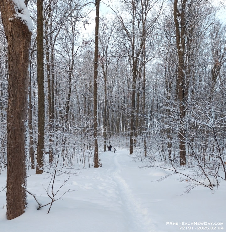 72191PeCrLe - Walking through the woods on a snowy morning